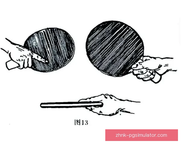 乒乓球初学者必知的入门指南