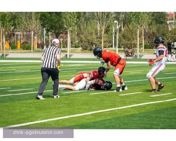 学习橄榄球技巧,提升运动水平 学习橄榄球技巧,提升运动水平