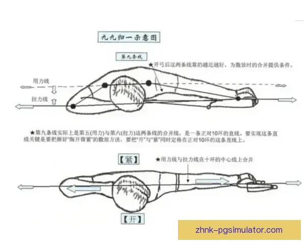 射箭入门技巧及训练指南 射箭入门技巧及训练指南
