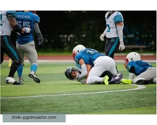 搏击巅峰：橄榄球冠军的辉煌征程