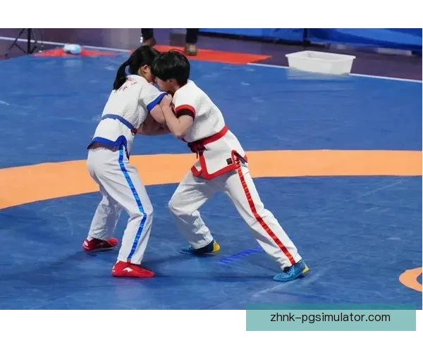 柔道锦标赛：战技交锋，智慧较量