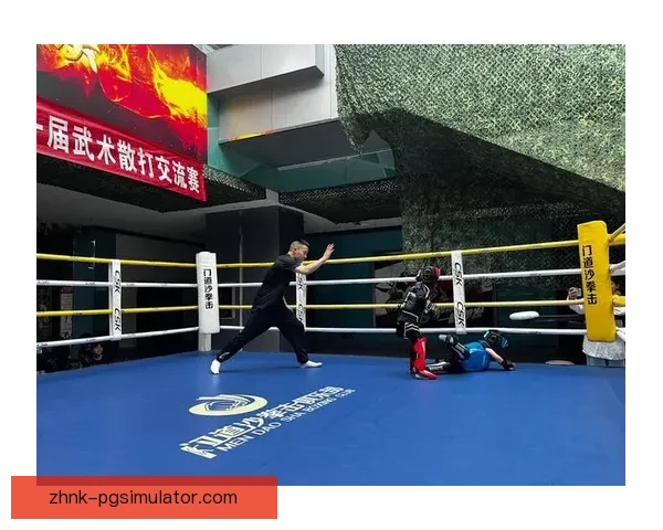 激情擂台，拳击热血直播赛事深度解析