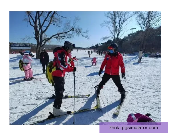滑雪技巧训练全方位指导