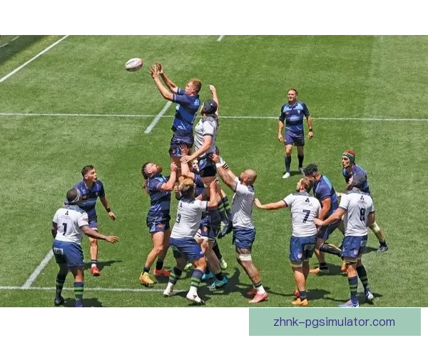 橄榄球排名大揭秘：分析实力强弱，解读胜负关键