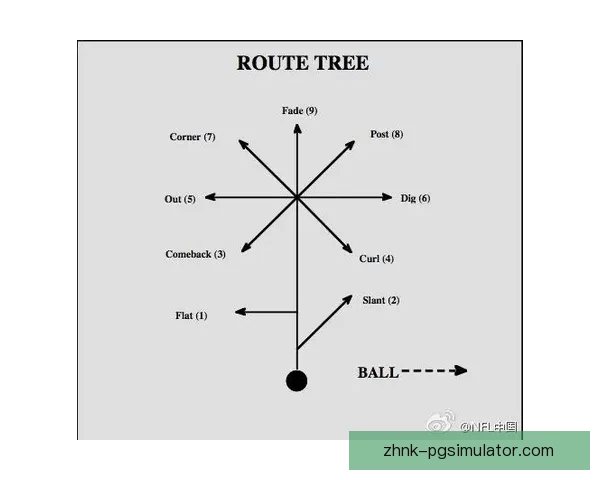 橄榄球赛程全面解析