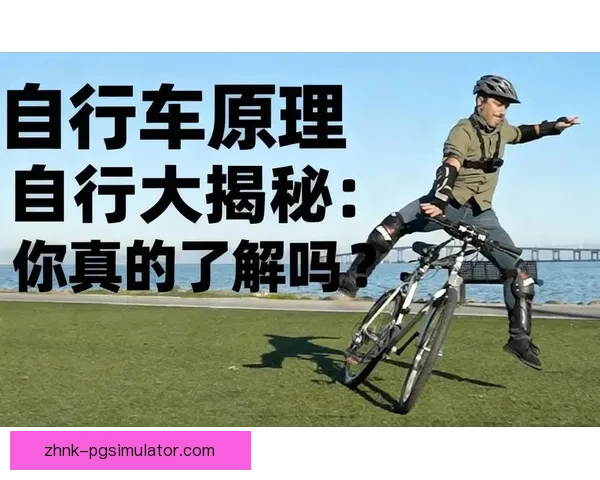 自行车排名大揭秘：揭示背后的排名规则和竞争激烈程度