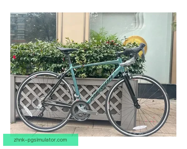 自行车积分榜:骑行技艺较量,轮番登顶,谁能胜出? 自行车积分榜:骑行技艺较量,轮番登顶,谁能胜出?