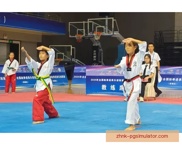 跆拳道比赛规则解读及技巧分享