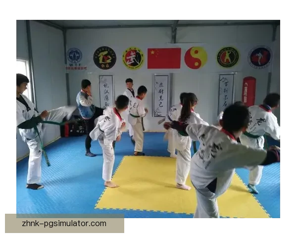 跆拳道投注技巧大揭秘，助你在比赛中游刃有余！